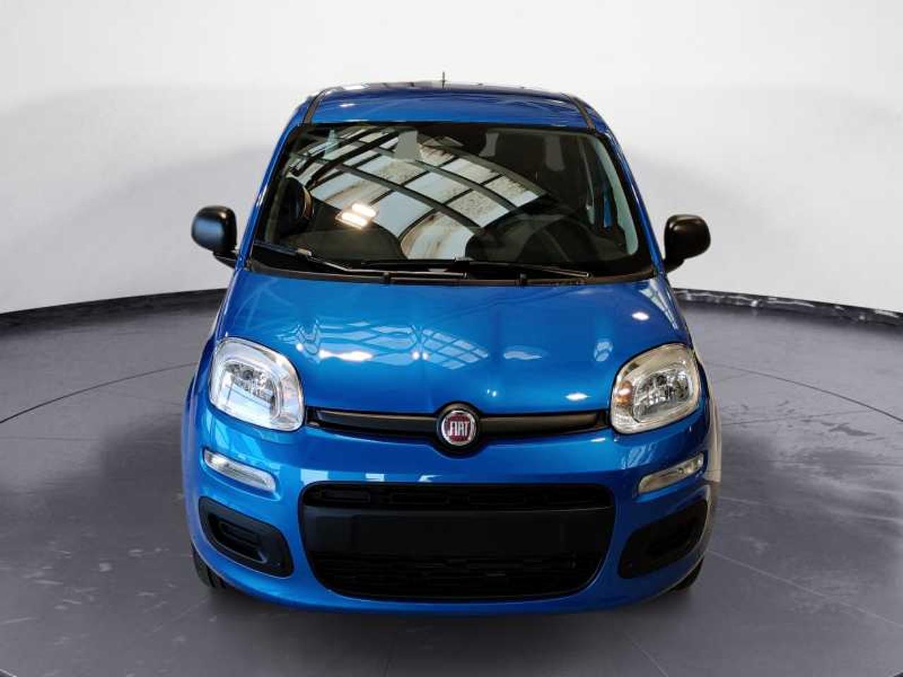 Fiat Fiat Panda usata 9