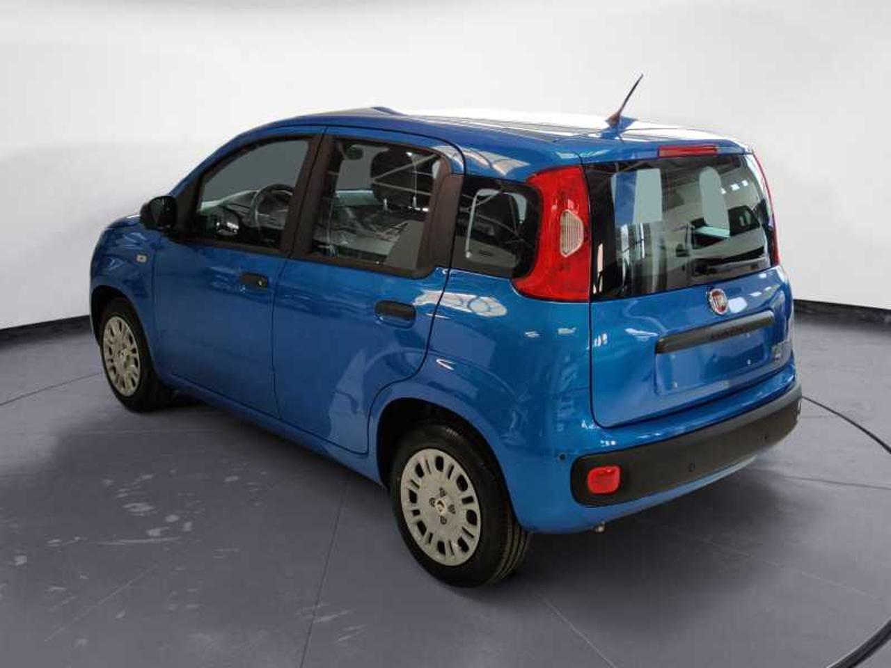 Fiat Fiat Panda usata 10