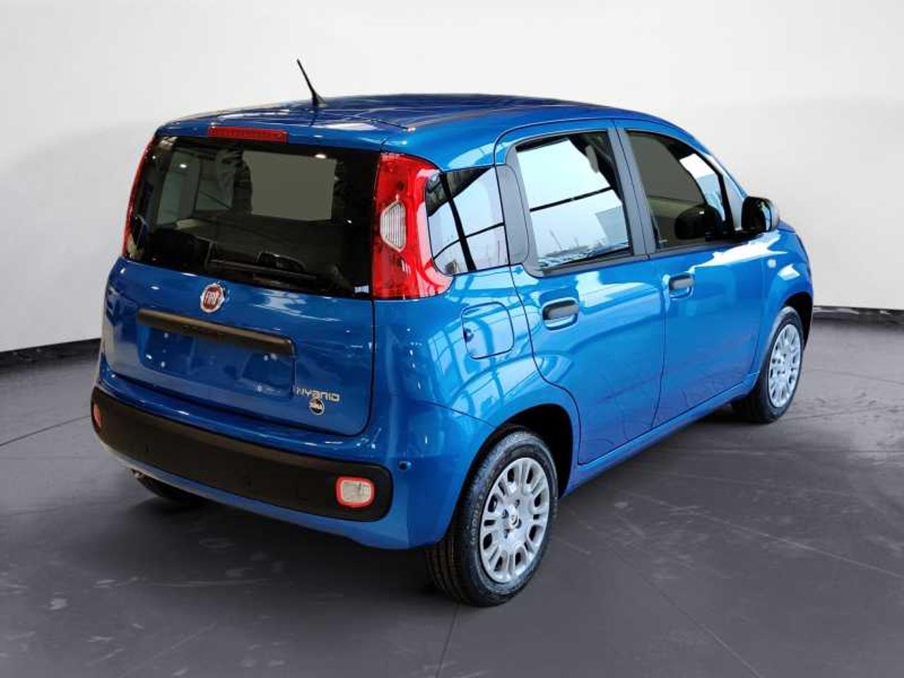 Fiat Fiat Panda usata 11