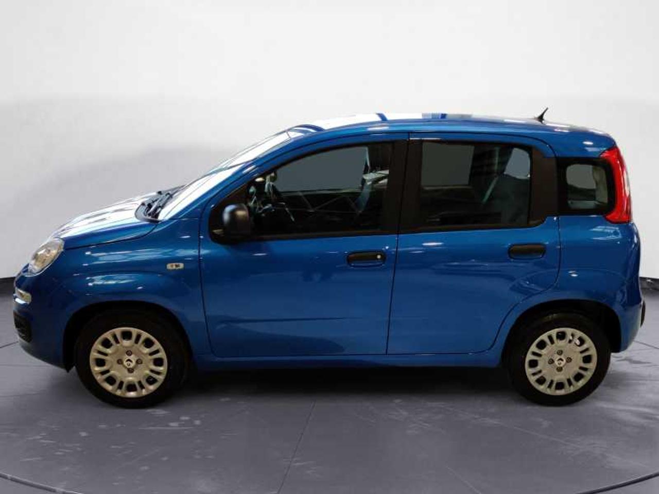 Fiat Fiat Panda usata 12