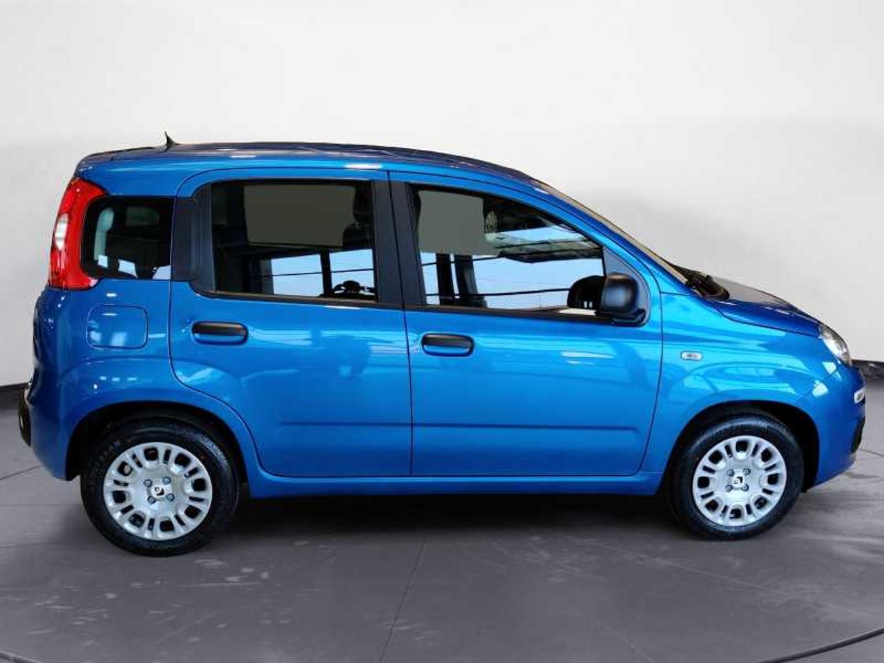 Fiat Fiat Panda usata 13