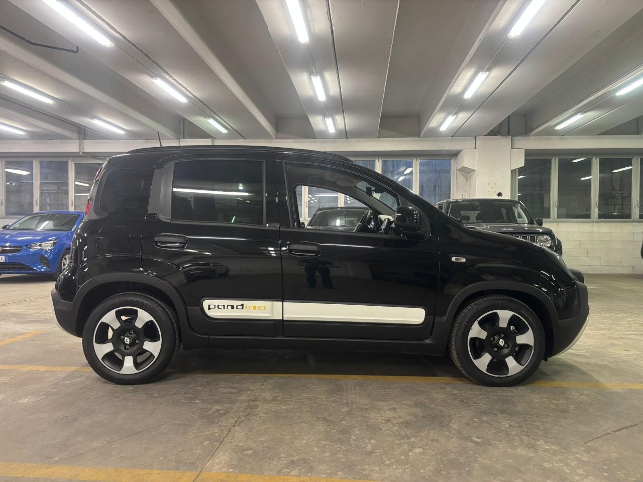 Fiat Fiat Panda usata 14