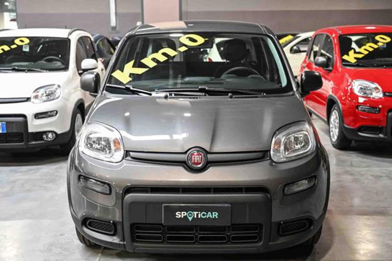 Fiat Fiat Panda usata 11