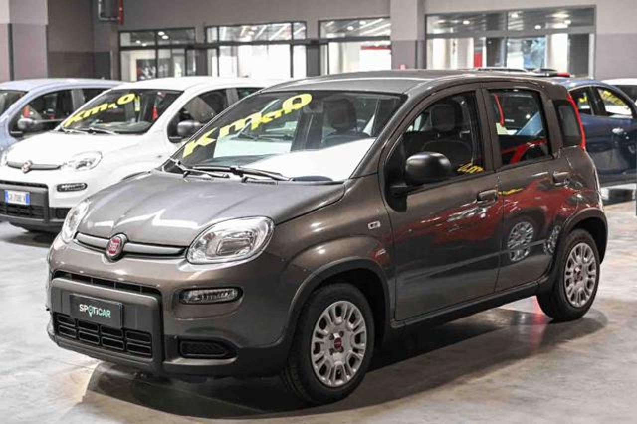 Fiat Fiat Panda usata 13