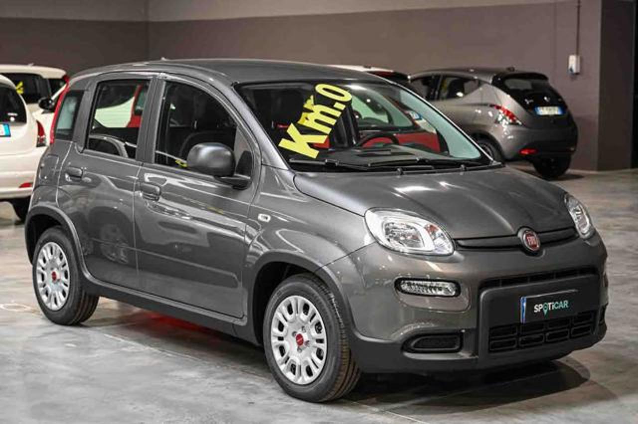 Fiat Fiat Panda usata 14