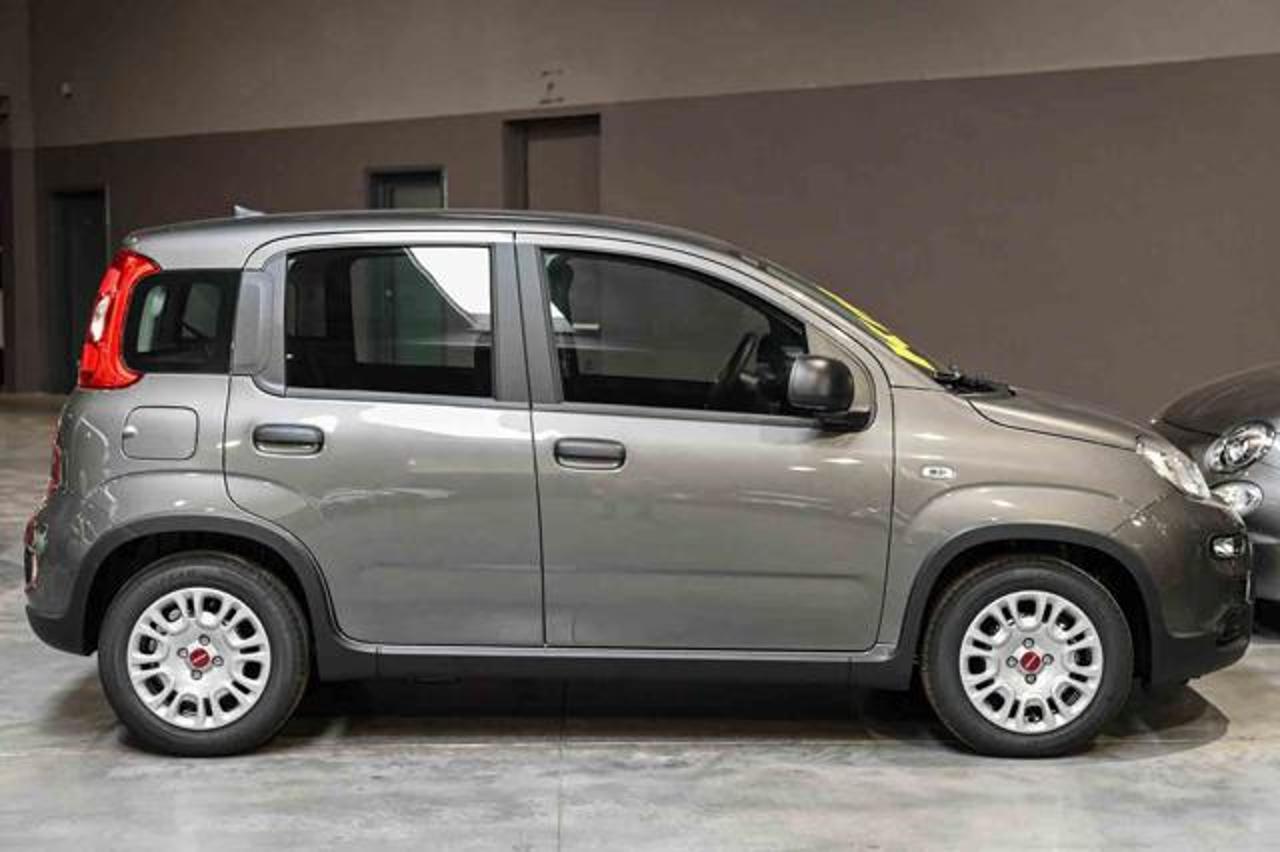 Fiat Fiat Panda usata 15