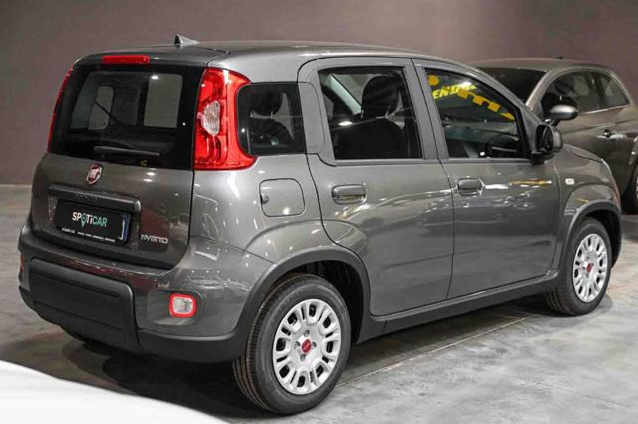 Fiat Fiat Panda usata 16