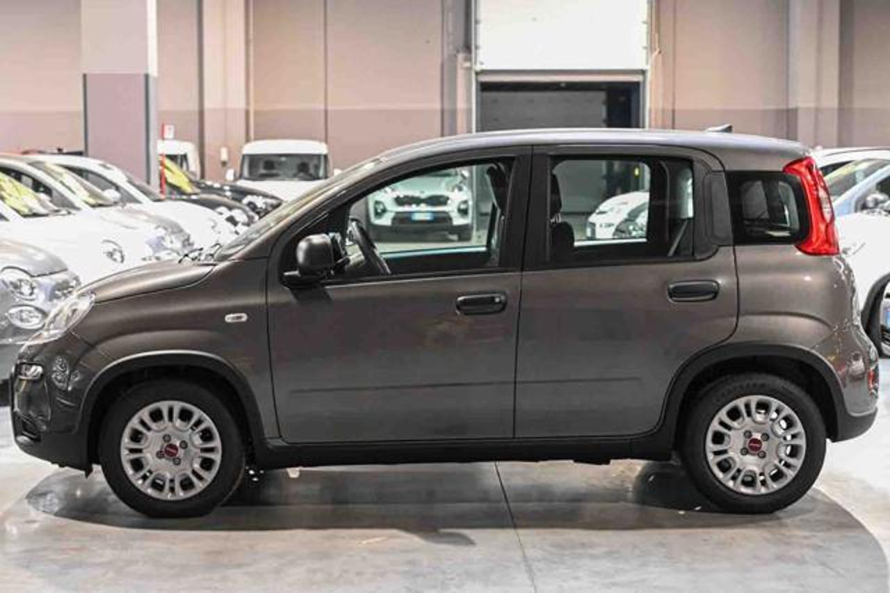 Fiat Fiat Panda usata 19