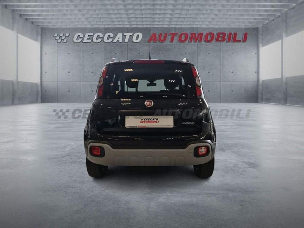 Fiat Fiat Panda usata 19