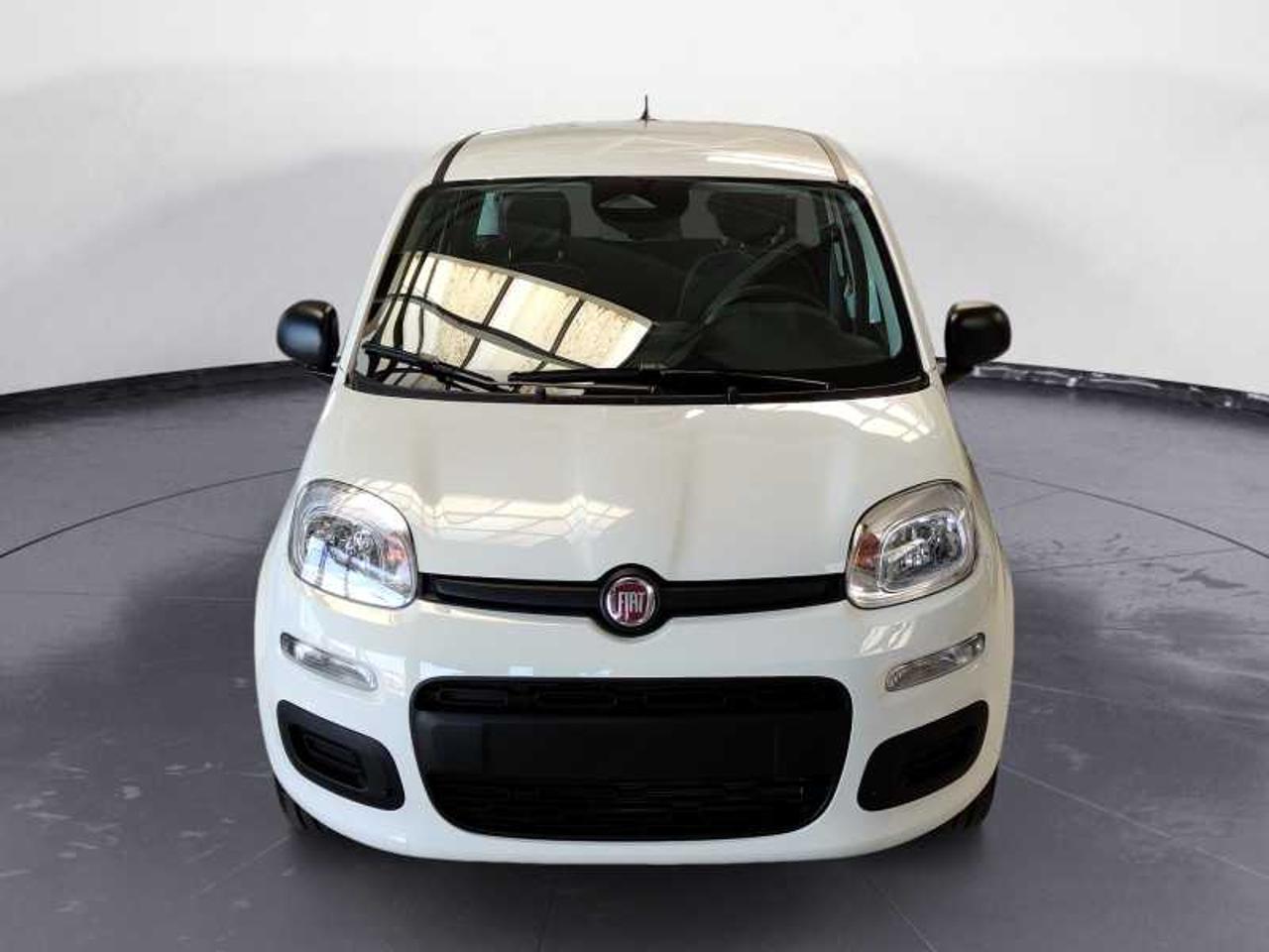 Fiat Fiat Panda usata 7