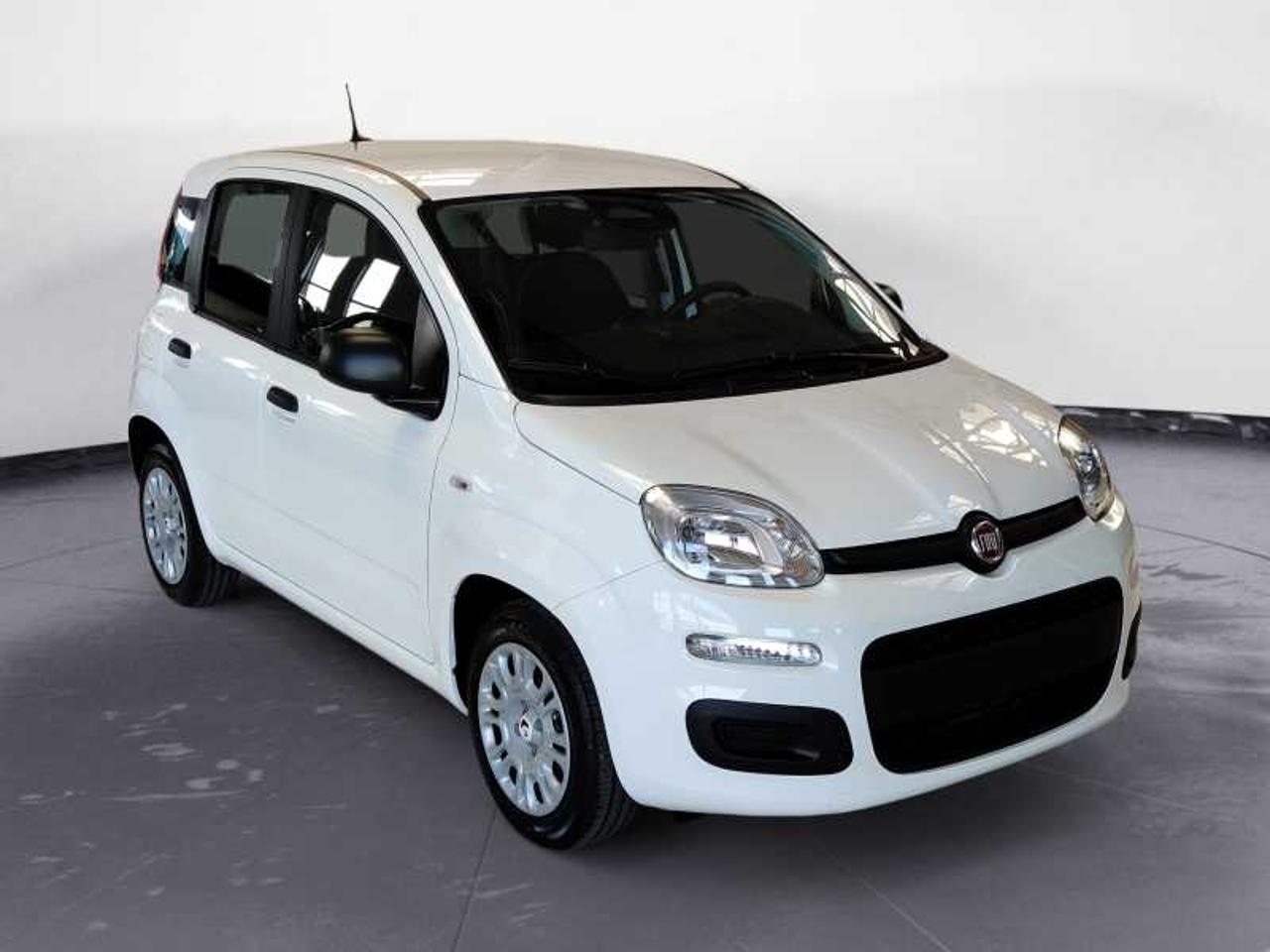Fiat Fiat Panda usata 8