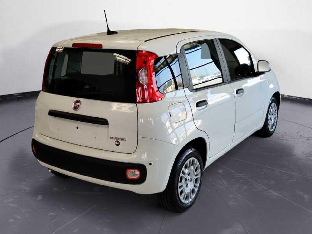 Fiat Fiat Panda usata 9