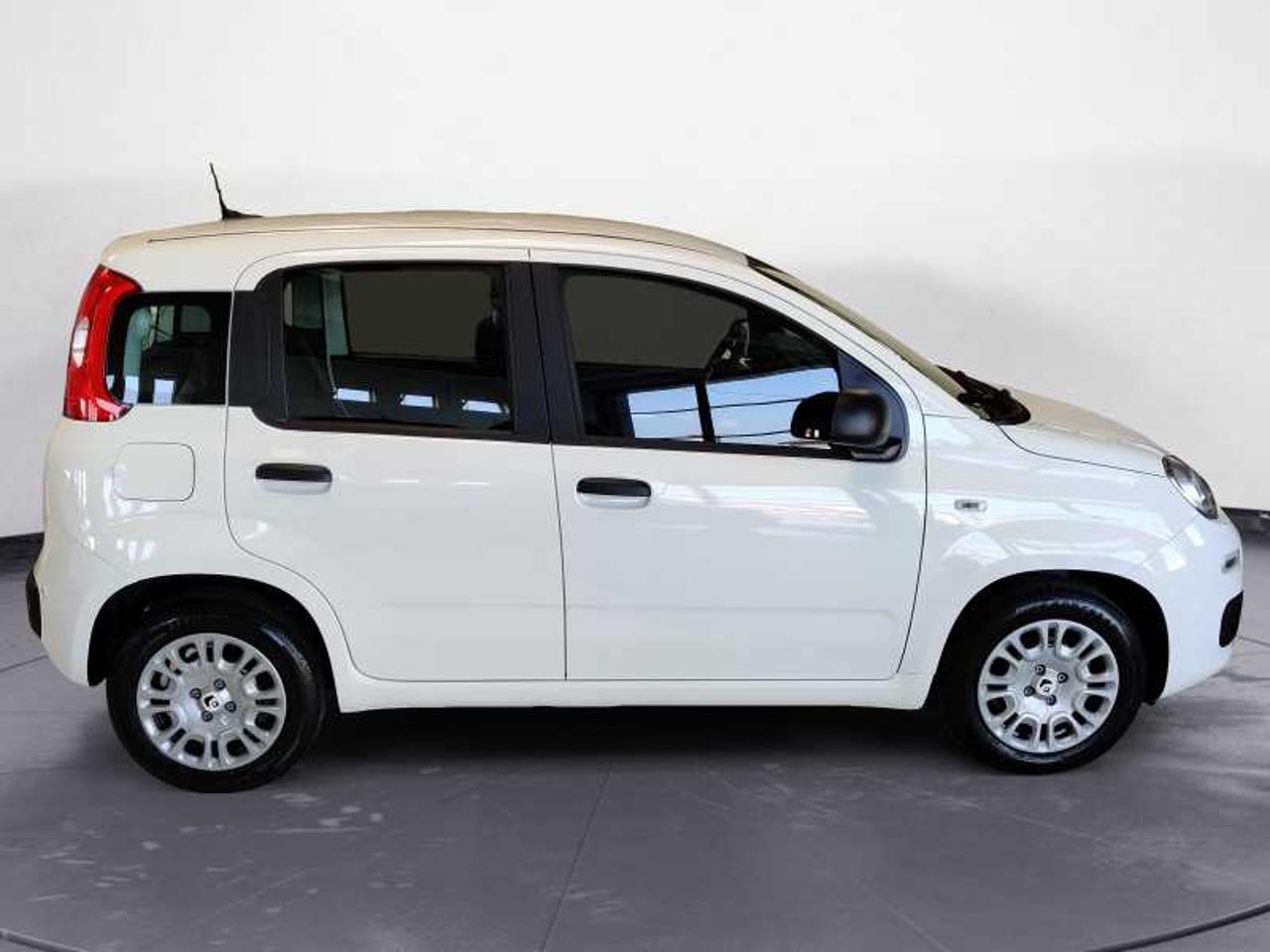 Fiat Fiat Panda usata 10
