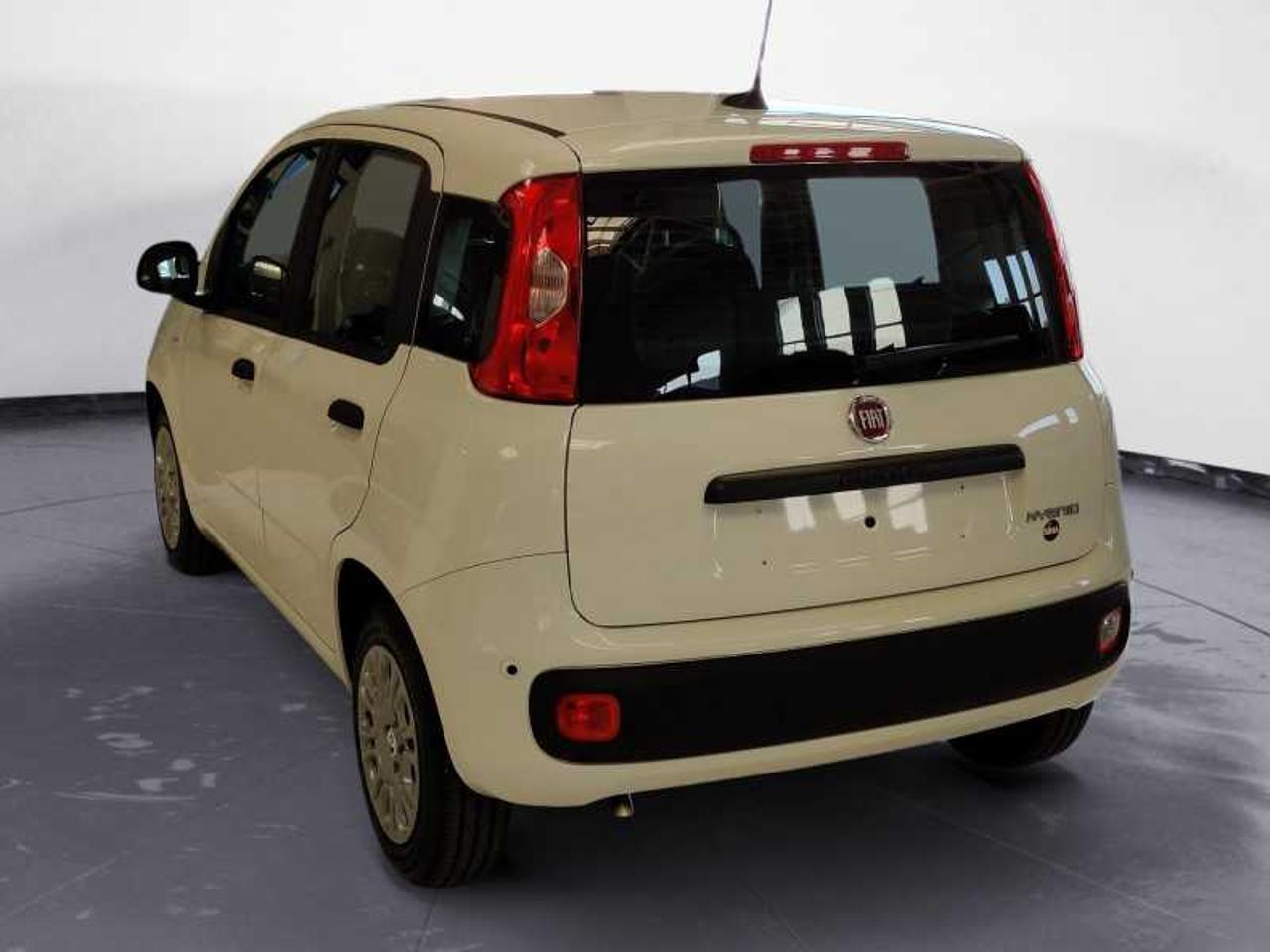 Fiat Fiat Panda usata 12