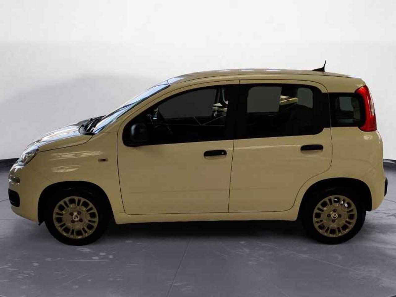 Fiat Fiat Panda usata 13