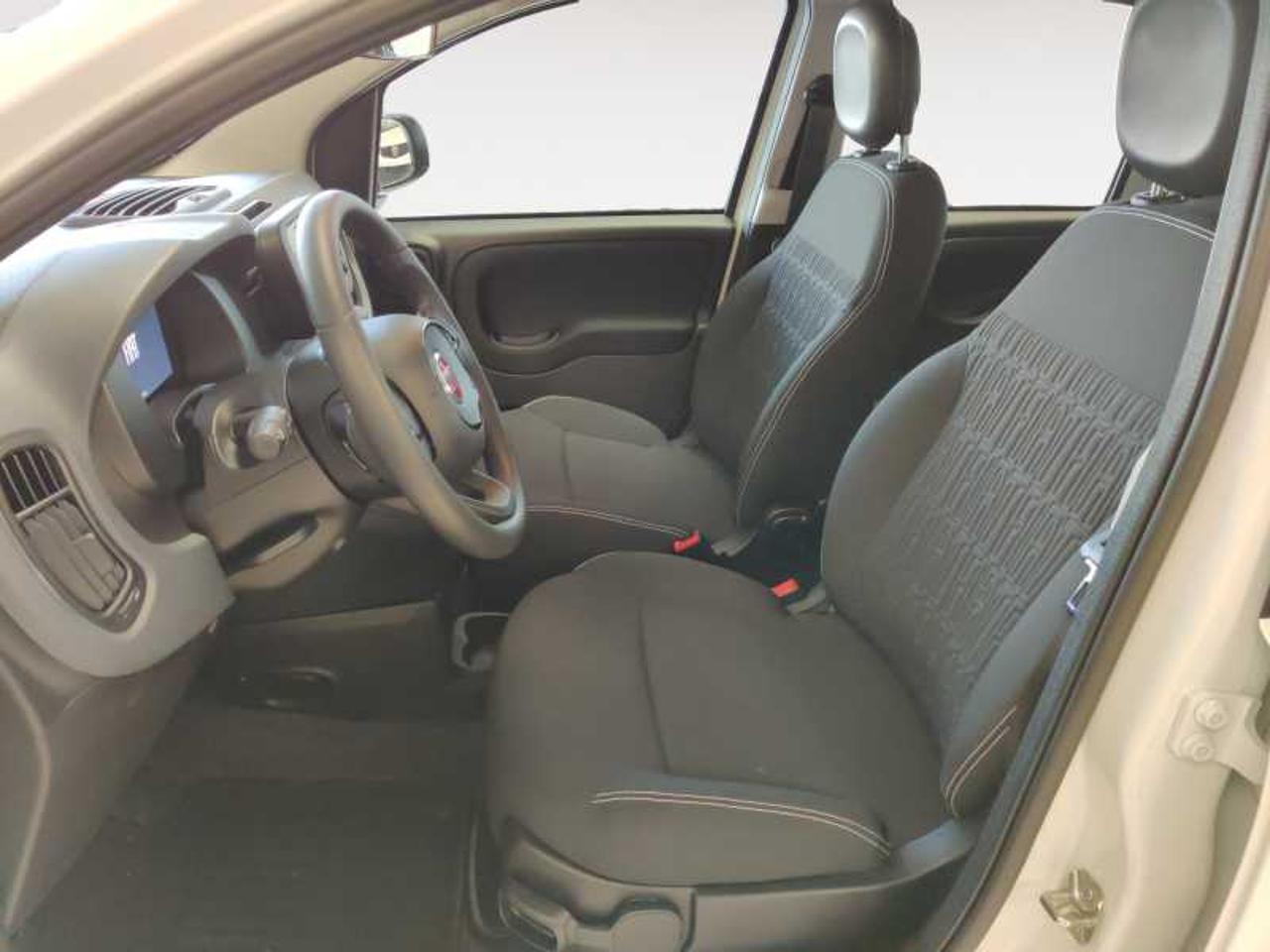 Fiat Fiat Panda usata 14