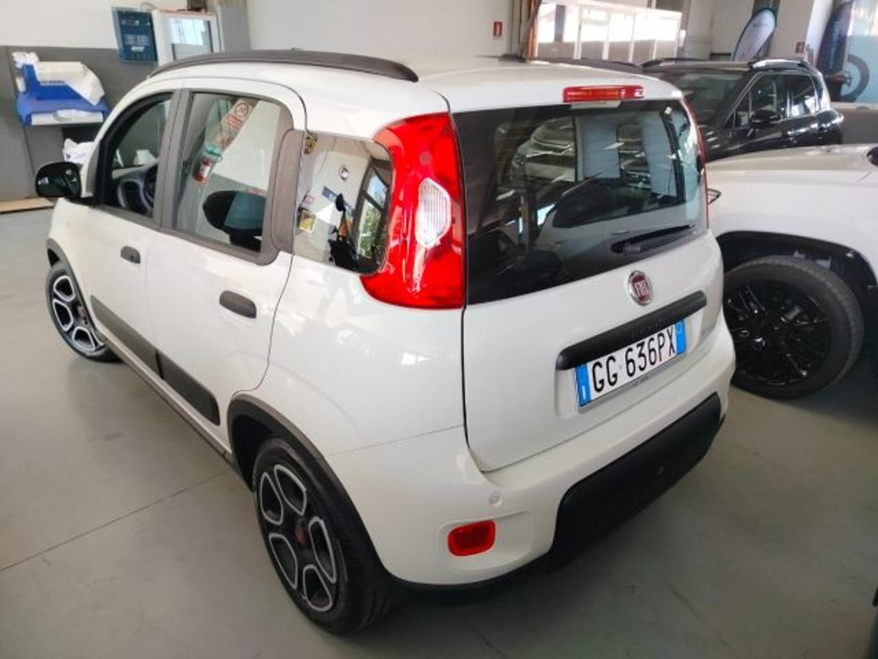 Fiat Fiat Panda usata 6