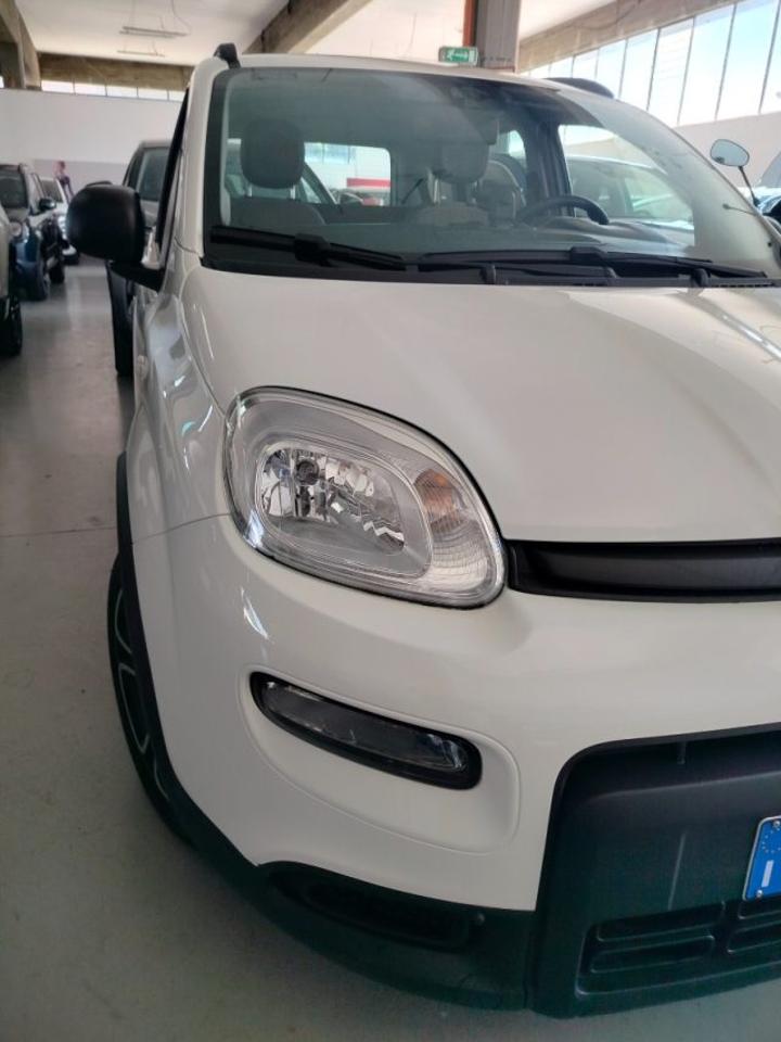 Fiat Fiat Panda usata 10