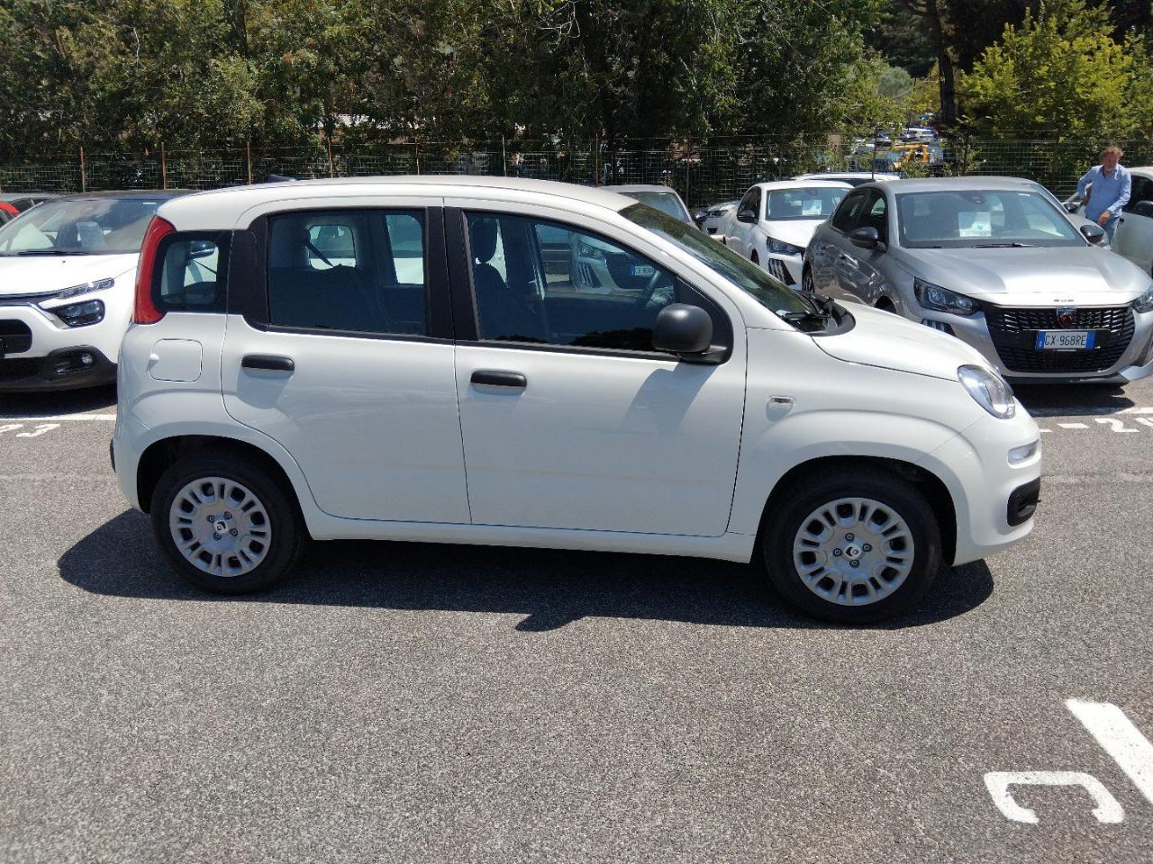 Fiat Fiat Panda usata 16