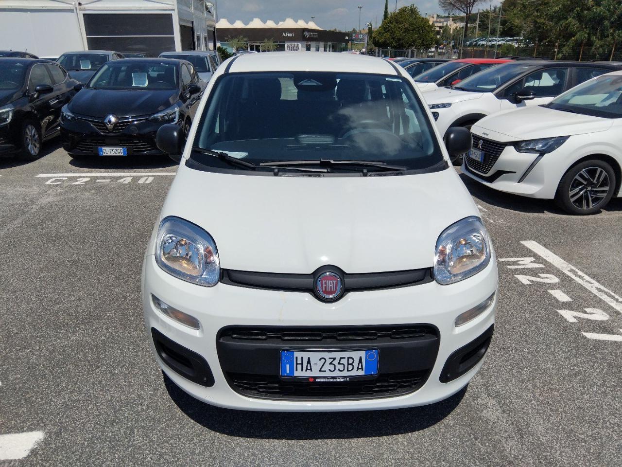 Fiat Fiat Panda usata 17