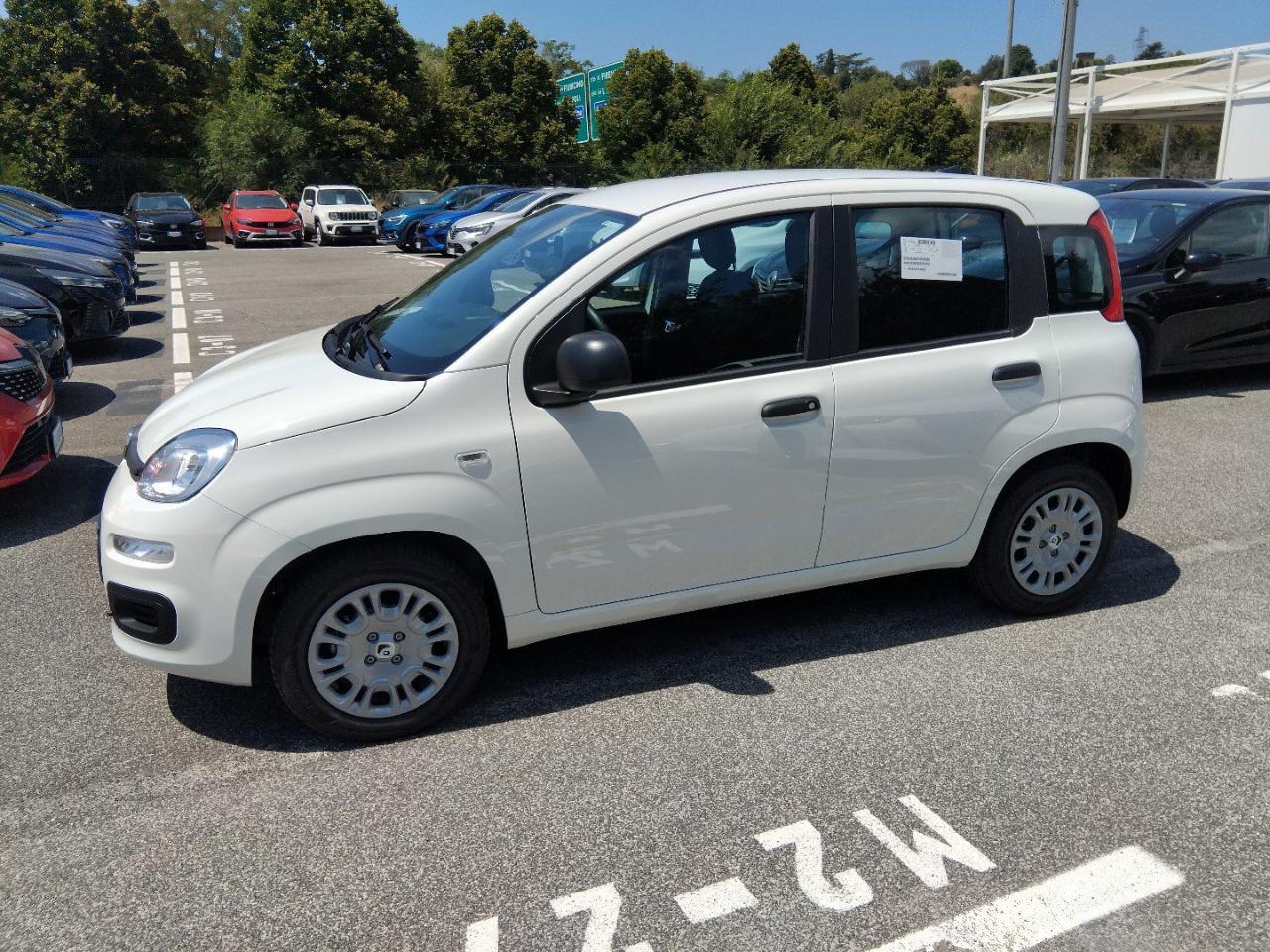 Fiat Fiat Panda usata 18