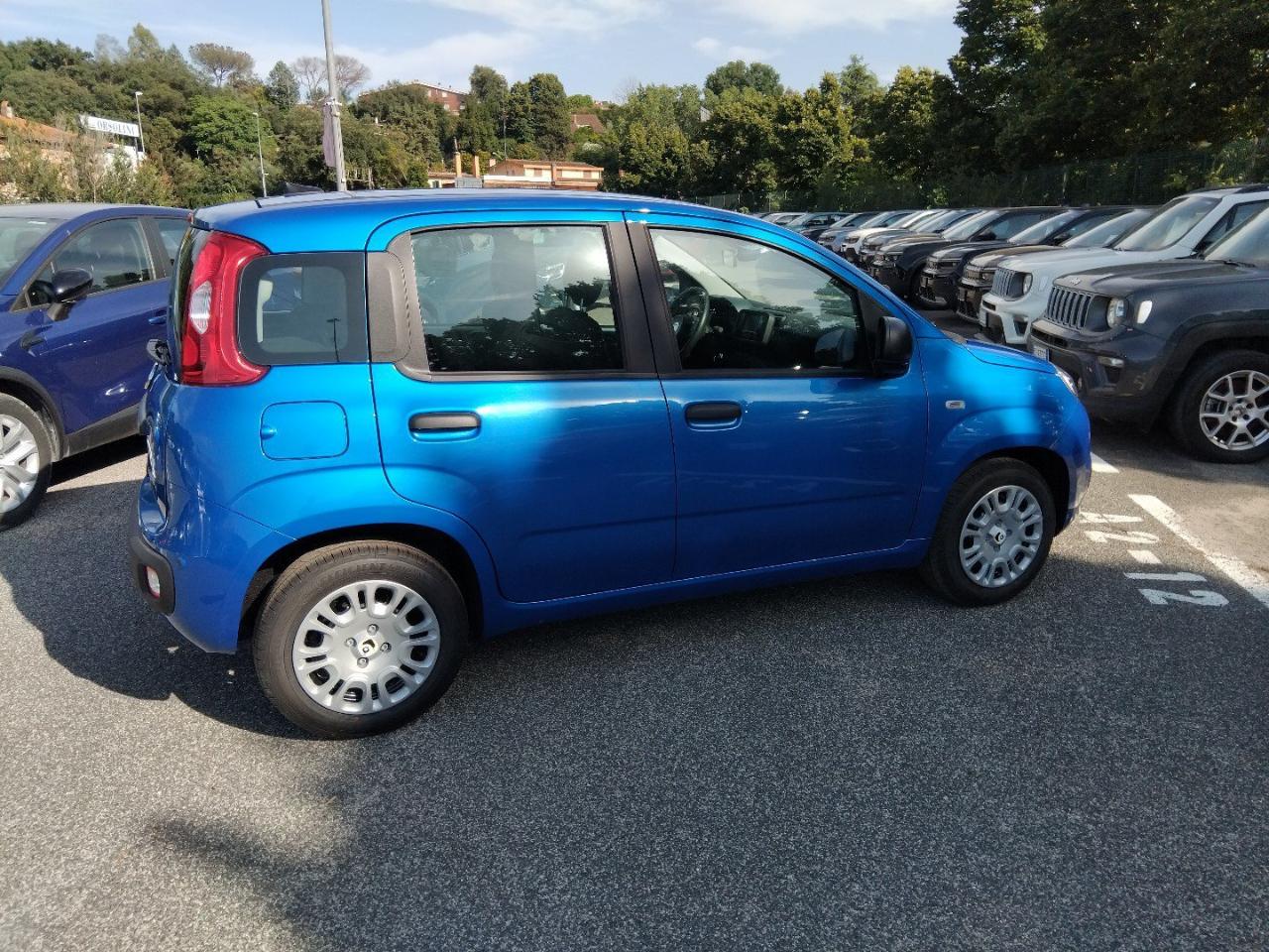 Fiat Fiat Panda usata 16