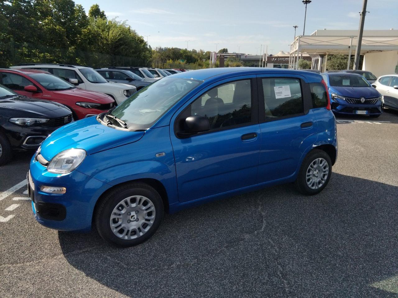 Fiat Fiat Panda usata 18