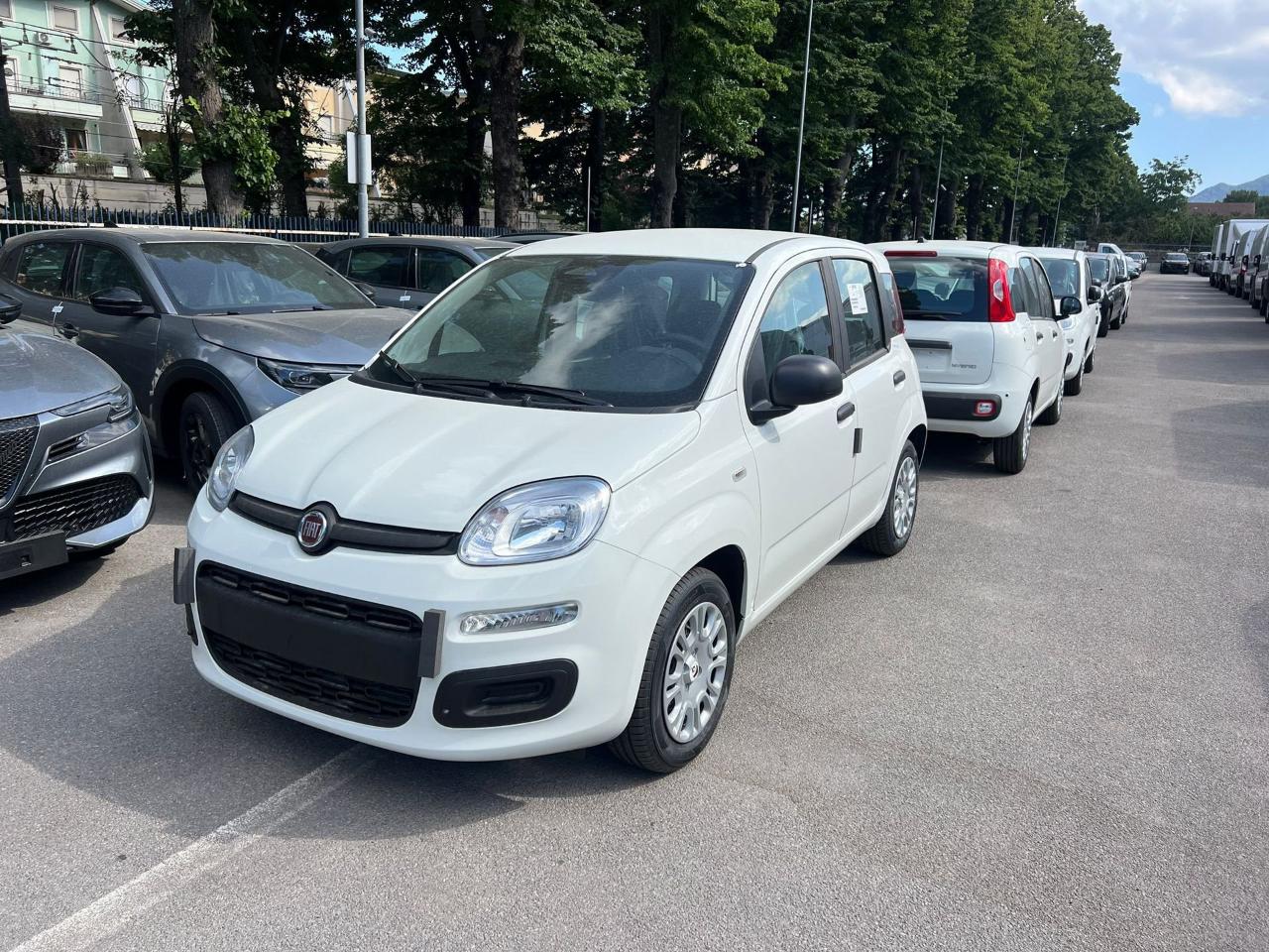 Fiat Fiat Panda PANDA 1.0 70cv hybrid panda