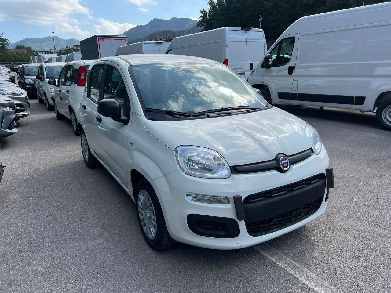 Fiat Fiat Panda usata 11