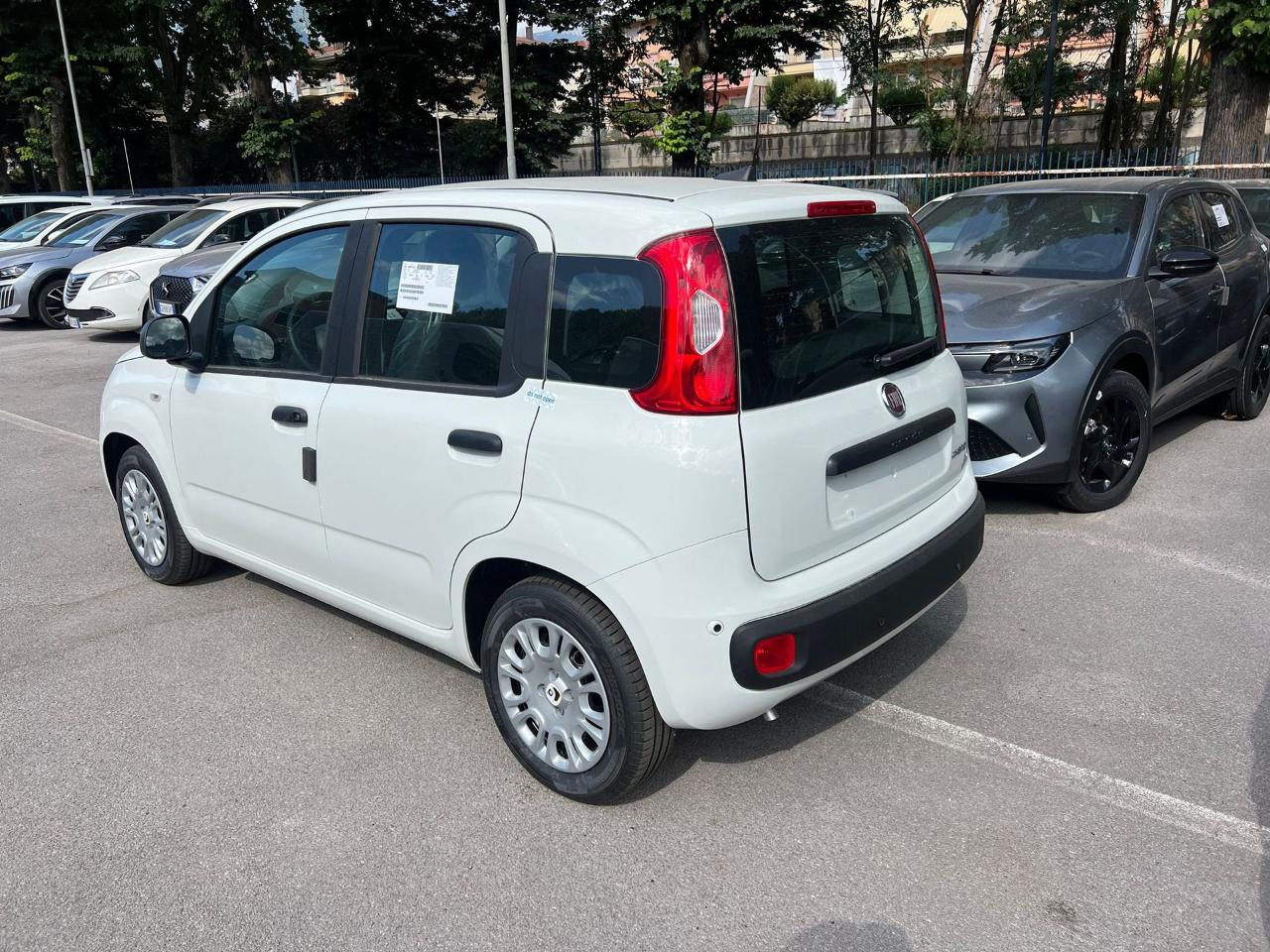 Fiat Fiat Panda usata 18