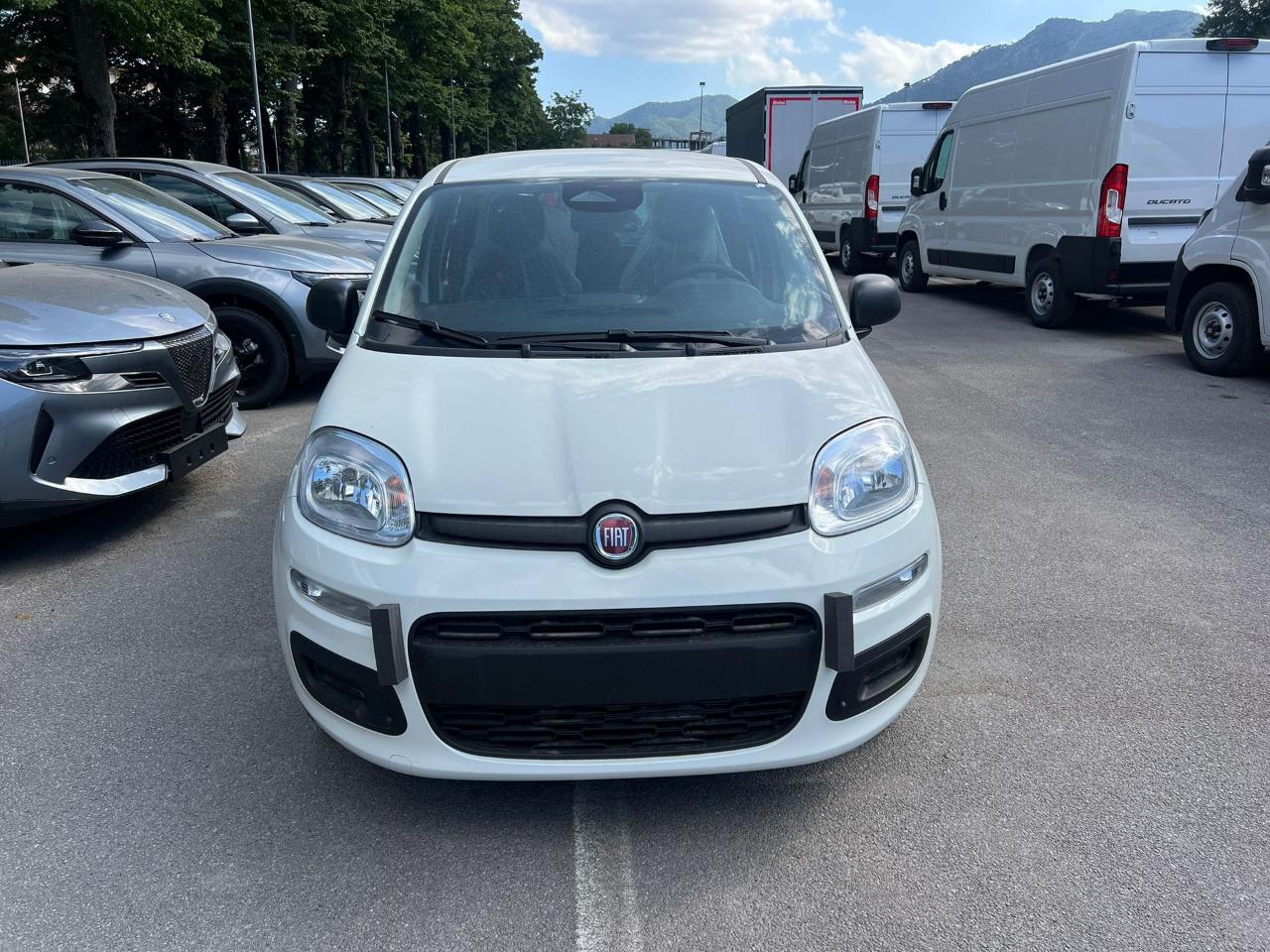 Fiat Fiat Panda usata 24