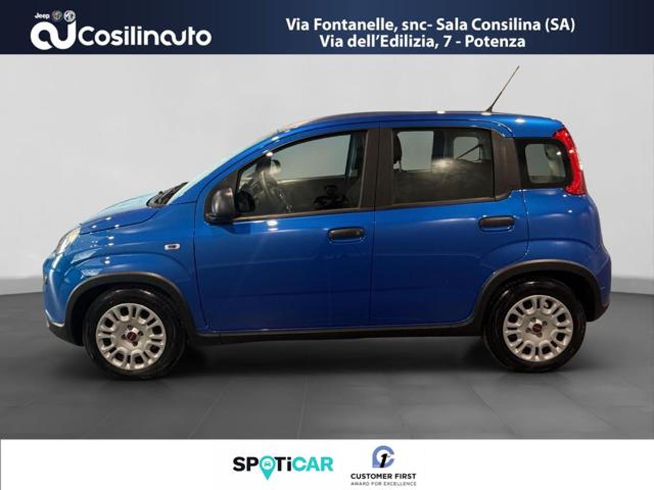 Fiat Fiat Panda usata 11