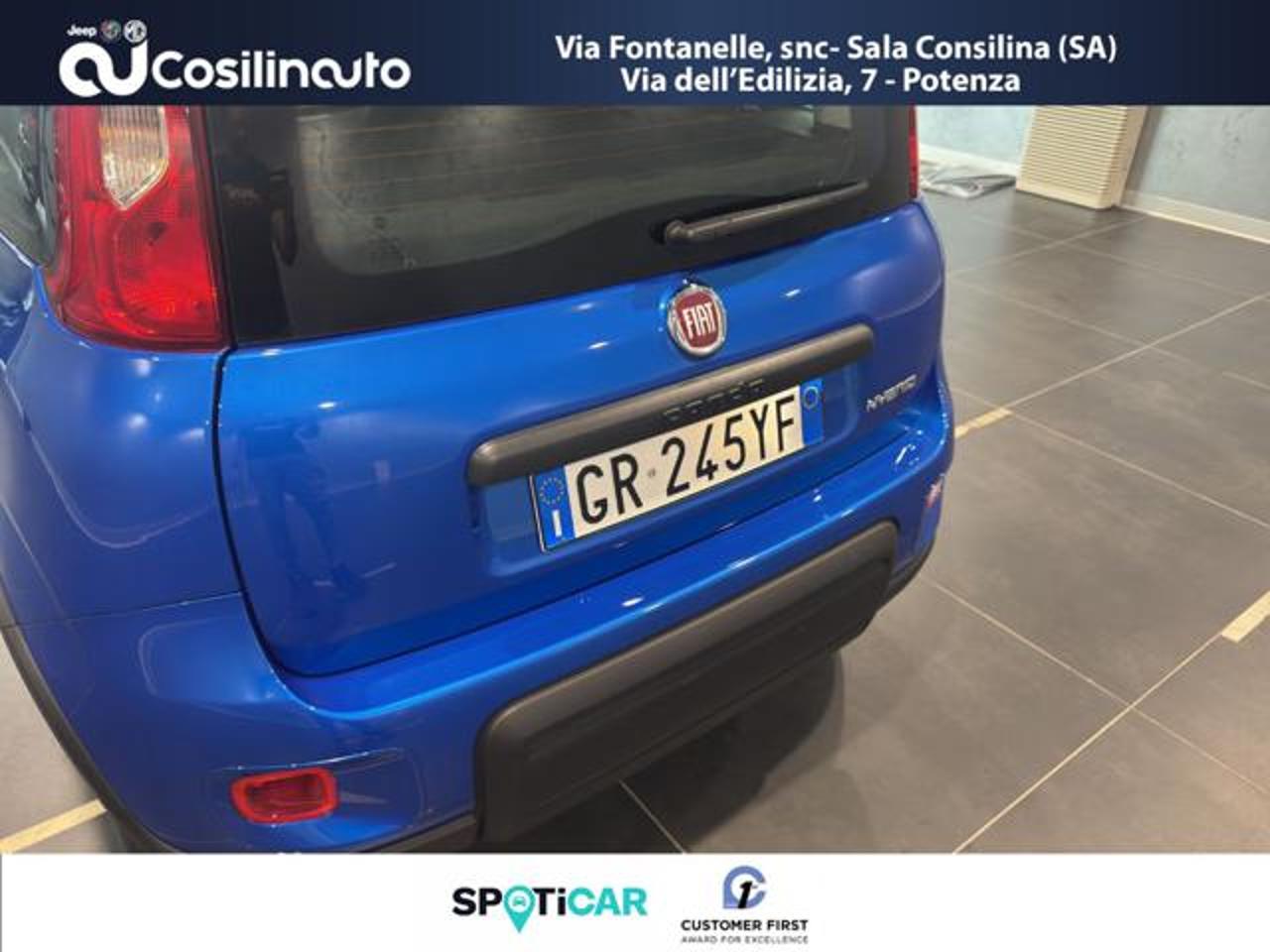 Fiat Fiat Panda usata 12