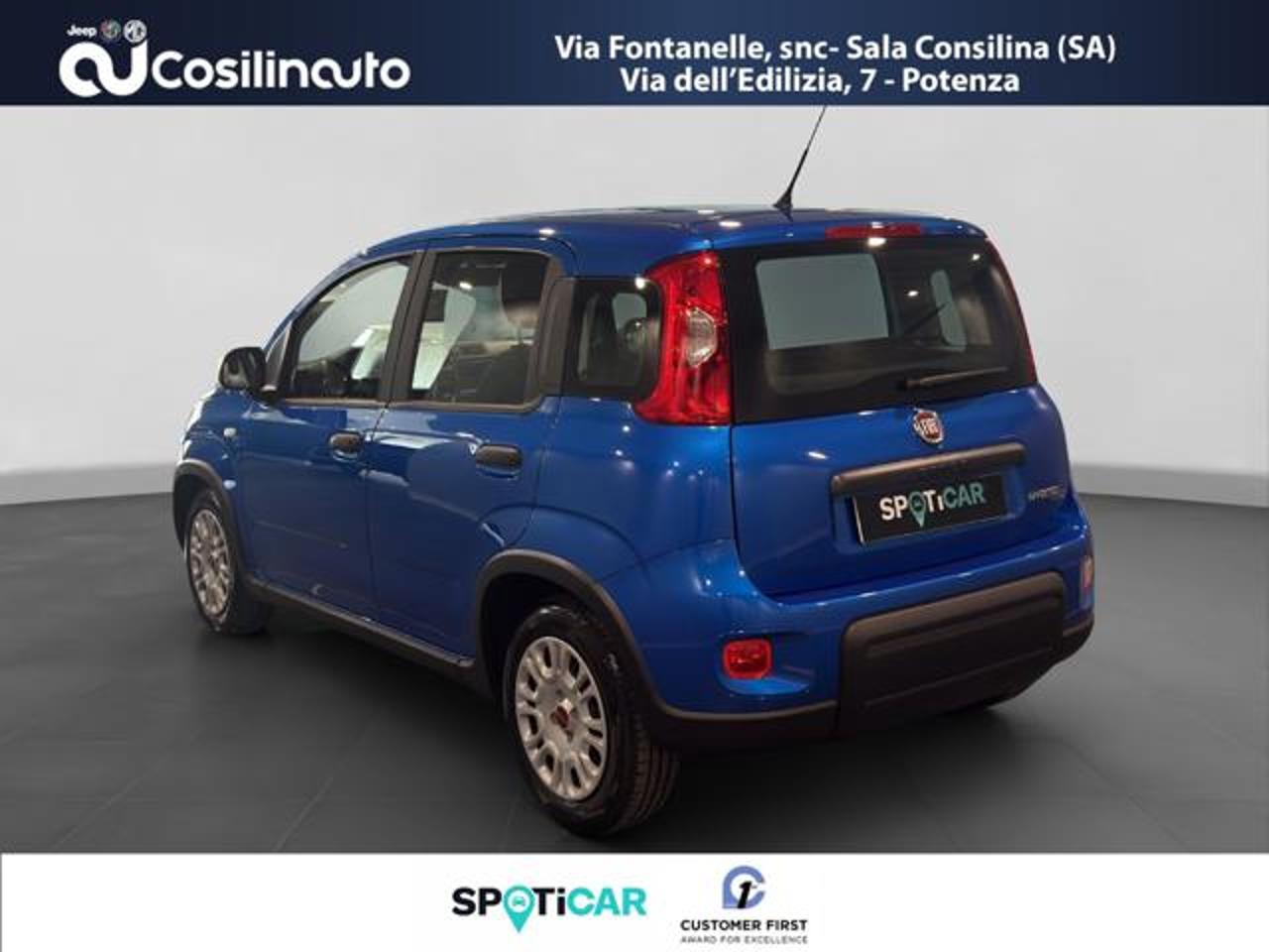 Fiat Fiat Panda usata 13