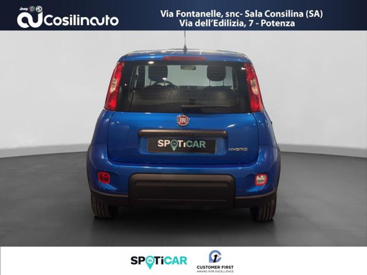 Fiat Fiat Panda usata 14