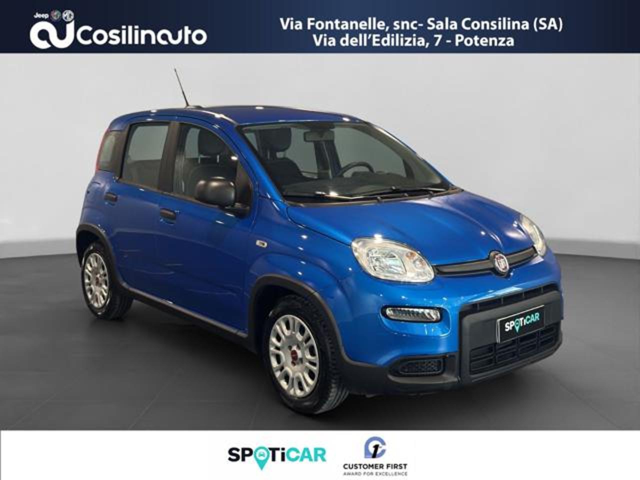 Fiat Fiat Panda usata 17