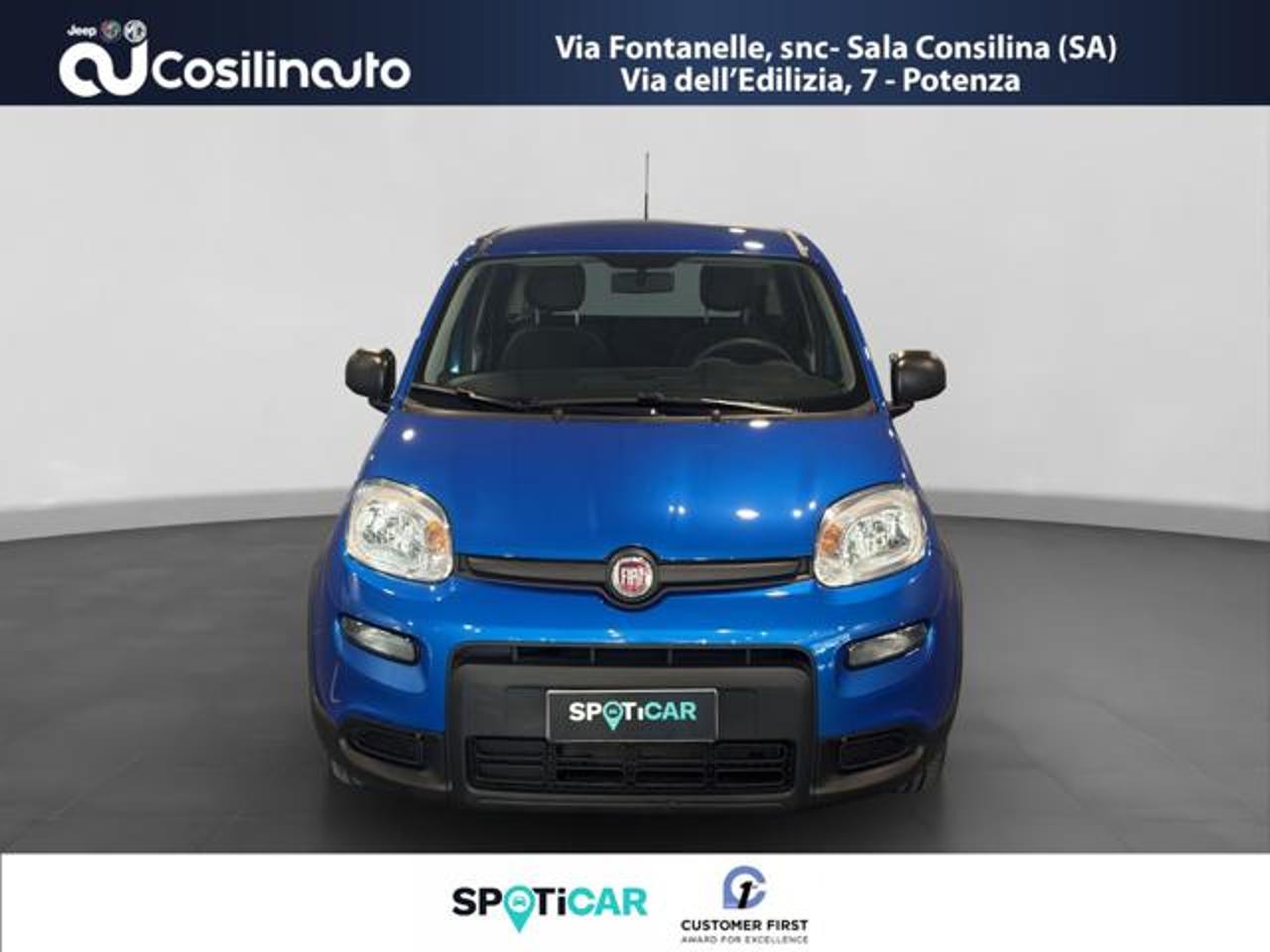 Fiat Fiat Panda usata 18