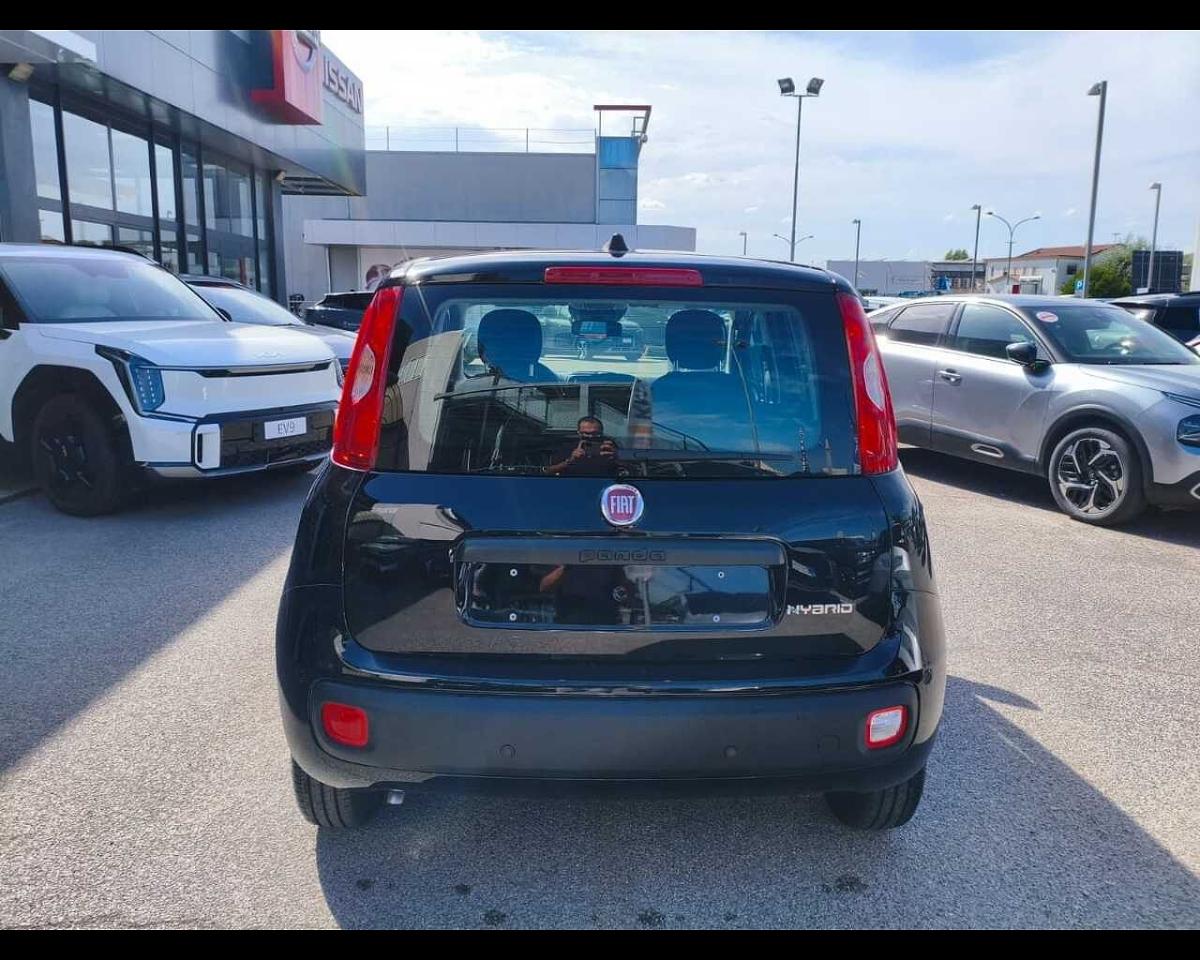 Fiat Fiat Panda usata, con immobilizzatore