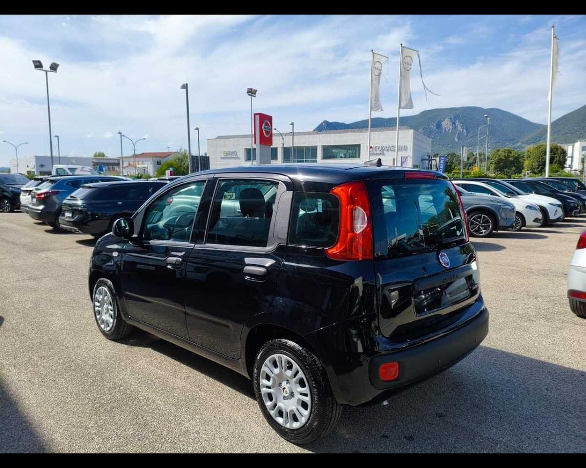 Fiat Fiat Panda usata, con interno grey
