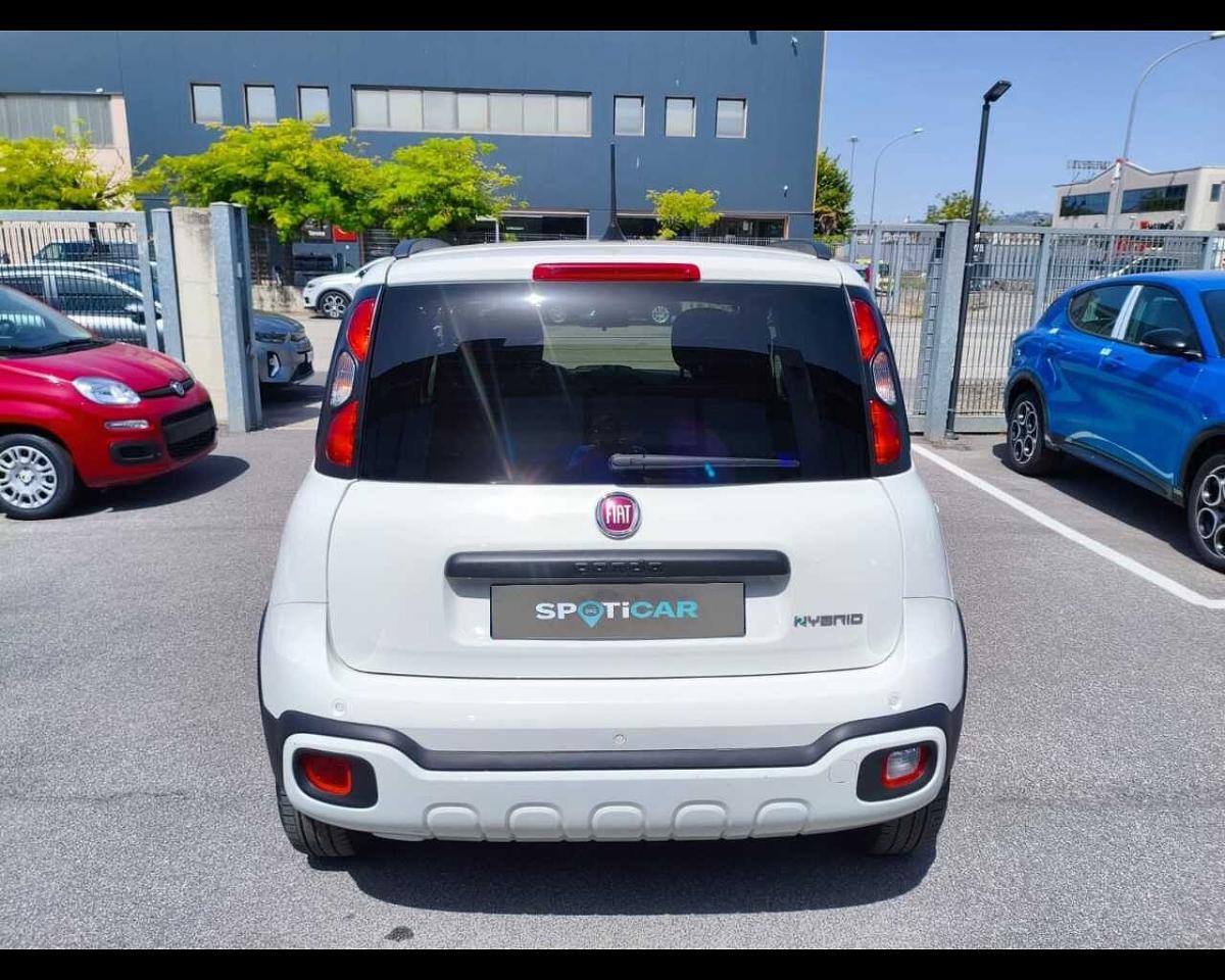 Fiat Fiat Panda usata, con immobilizzatore