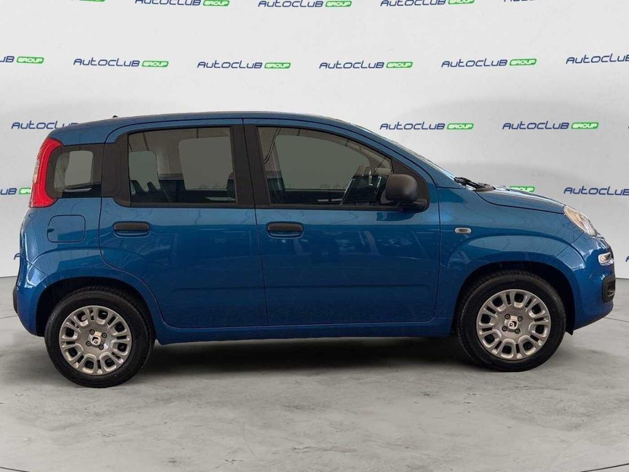 Fiat Fiat Panda usata 18