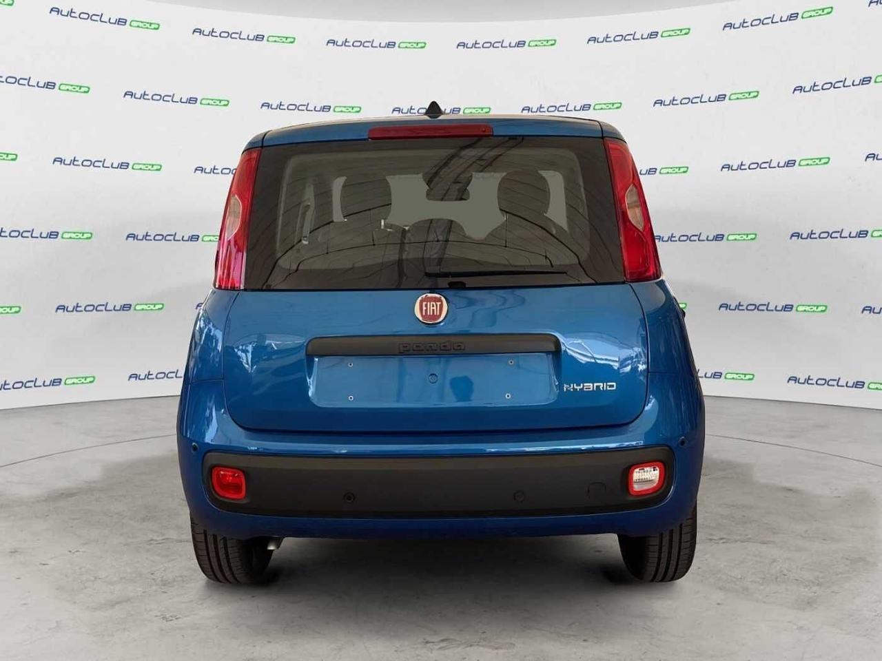 Fiat Fiat Panda usata 19