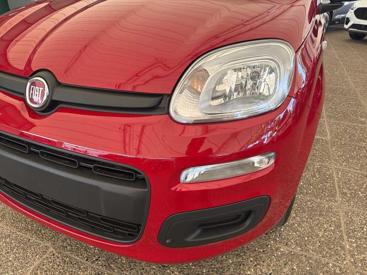 Fiat Fiat Panda usata, con trazione anteriore