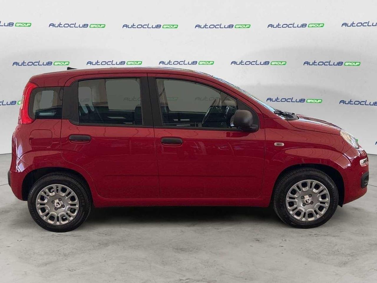Fiat Fiat Panda usata 18
