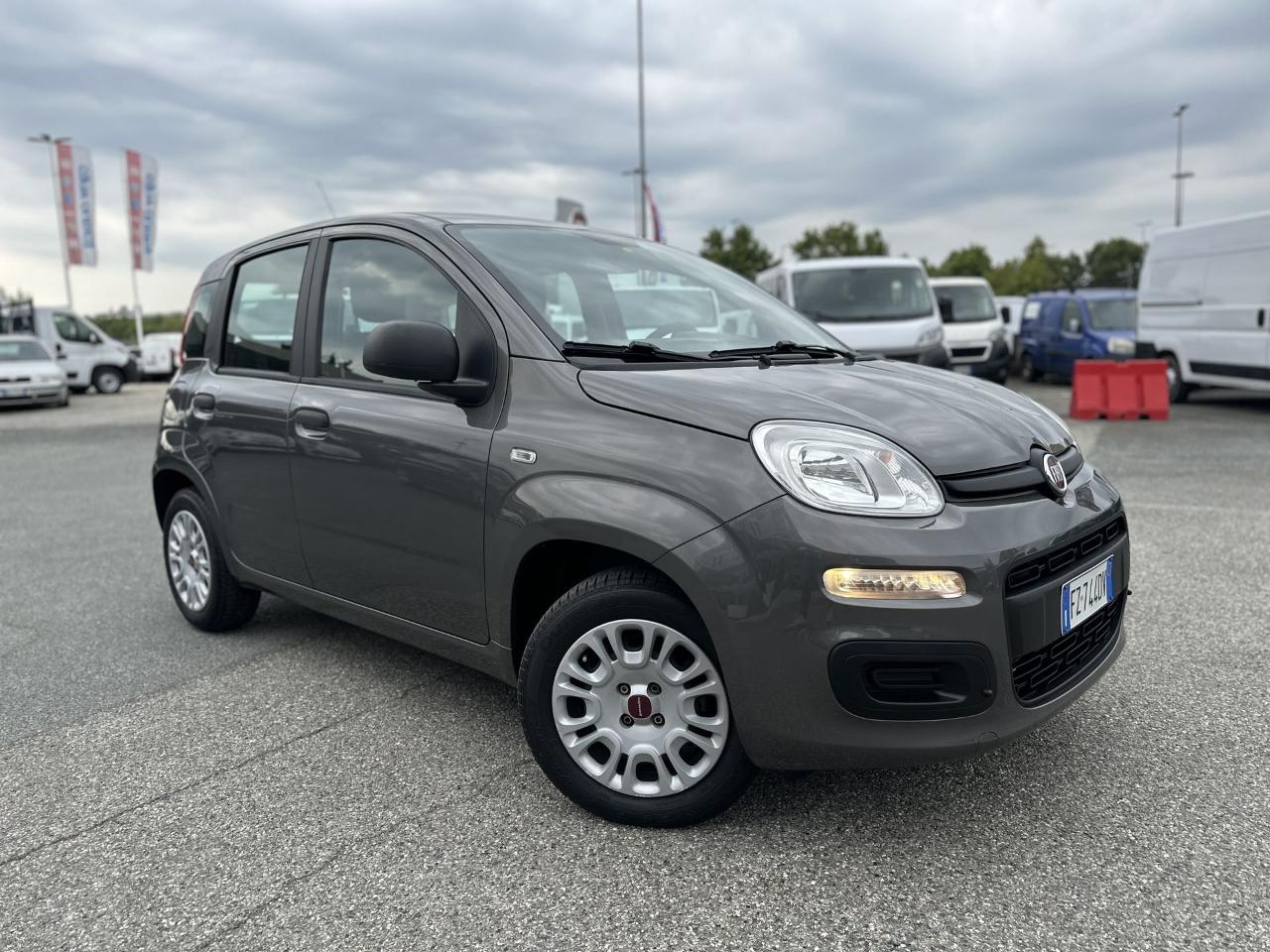 fiat panda panda 1.2 easypower easy usata