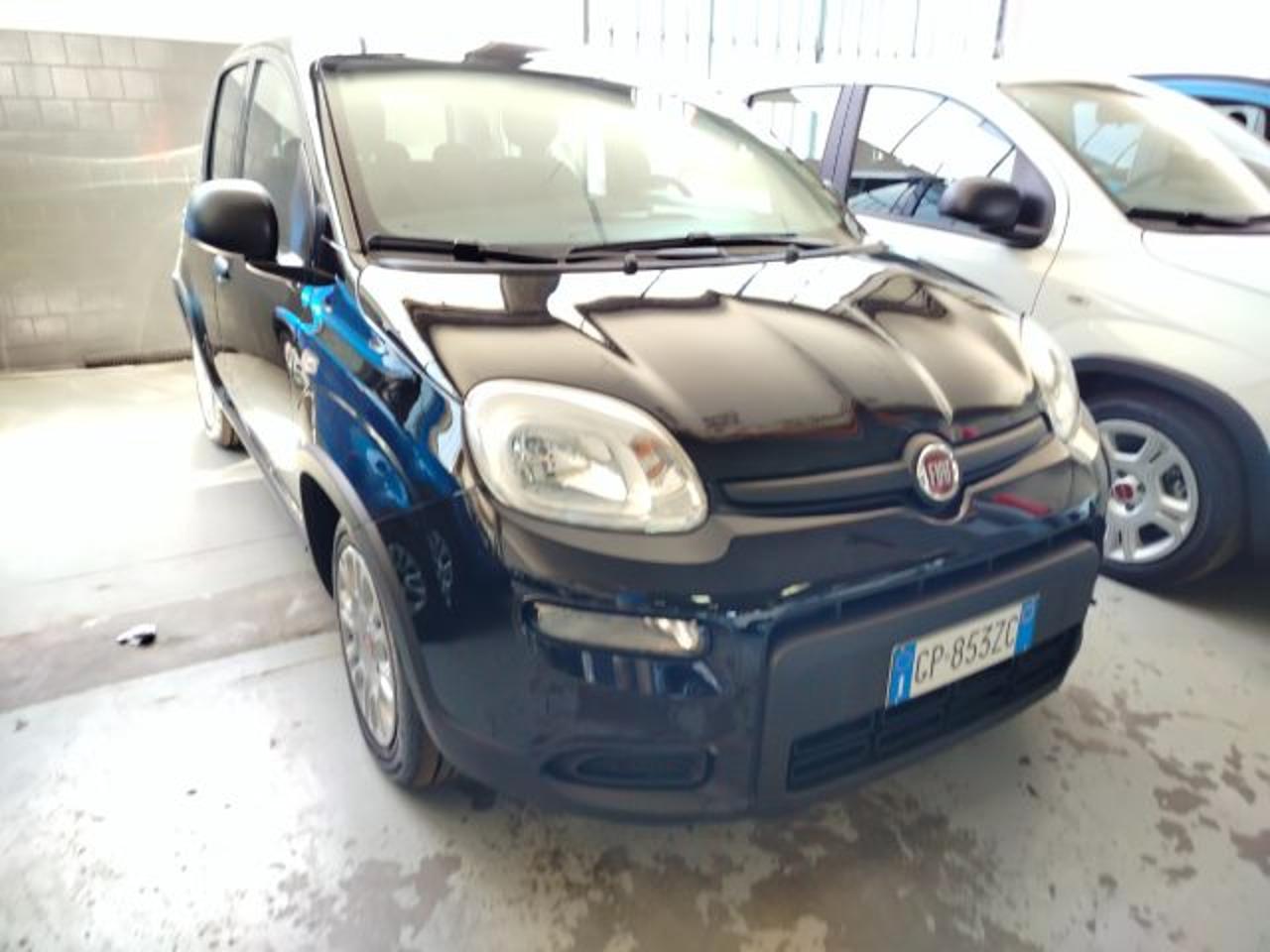 Fiat Fiat Panda usata 10