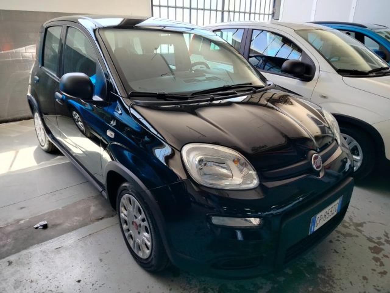 Fiat Fiat Panda usata 11