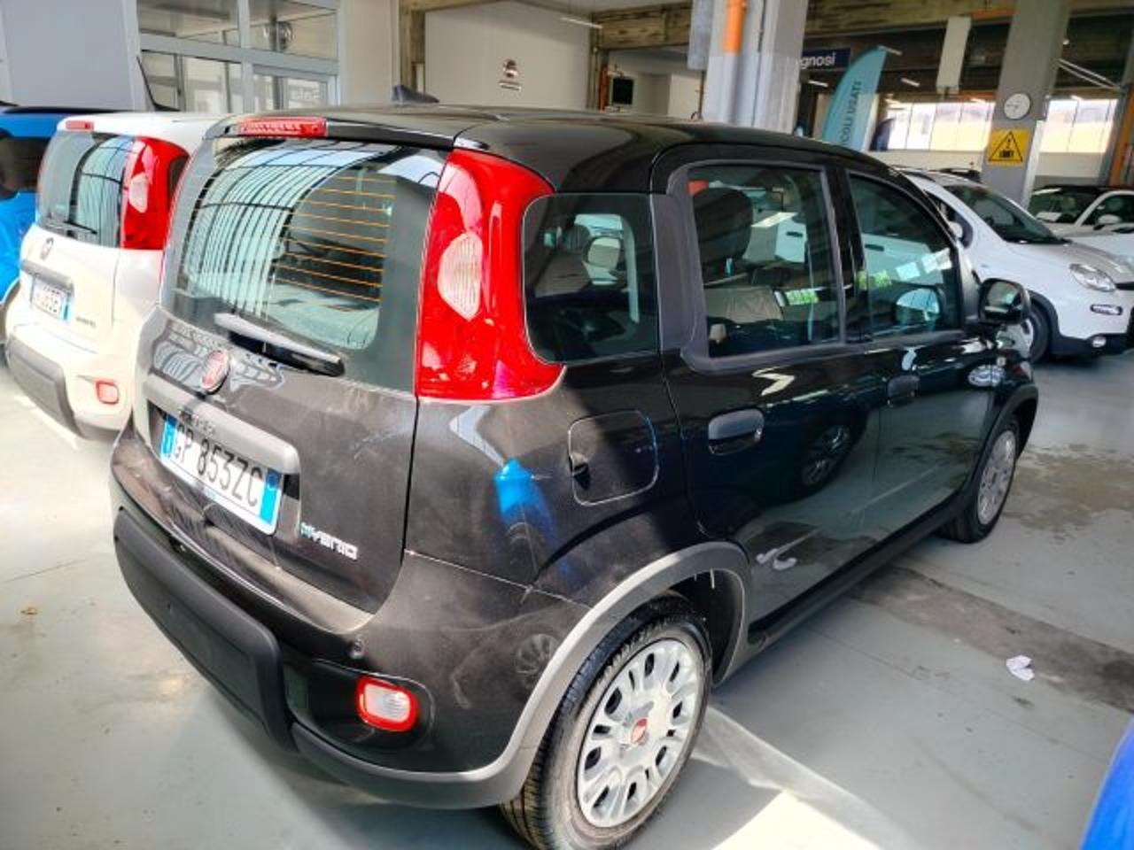 Fiat Fiat Panda usata 12