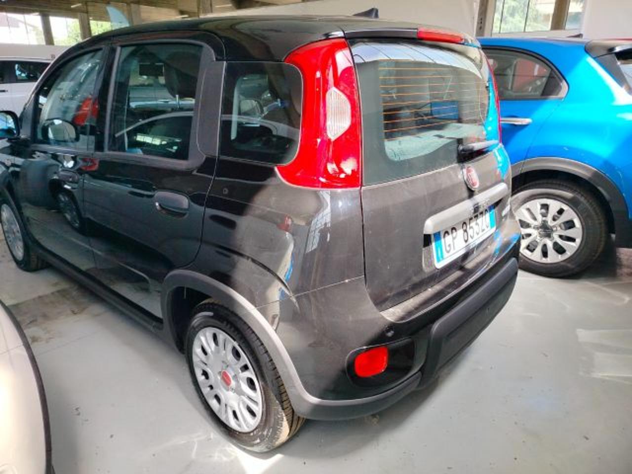 Fiat Fiat Panda usata 14