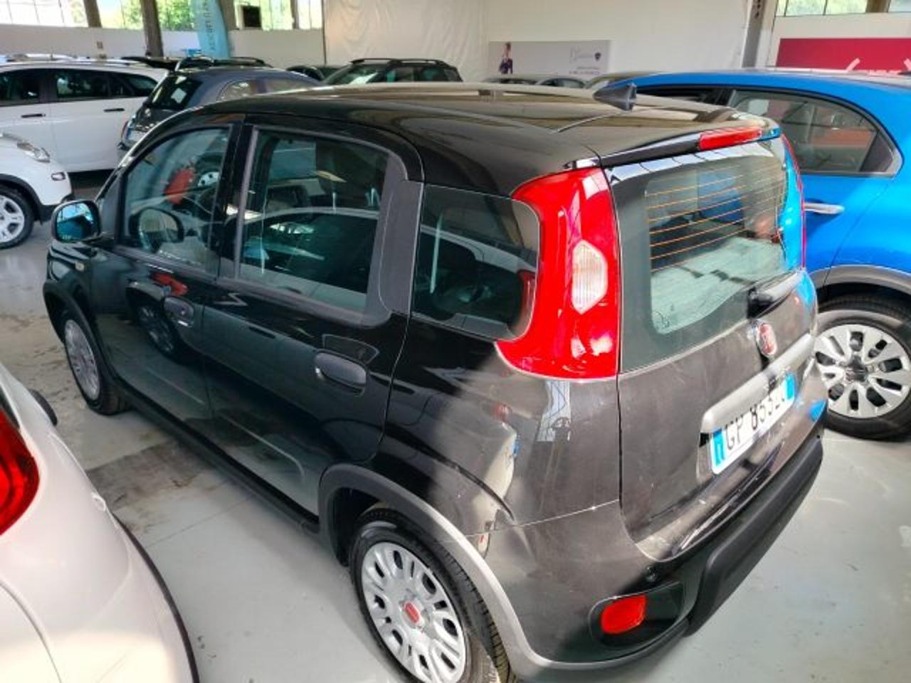 Fiat Fiat Panda usata 15